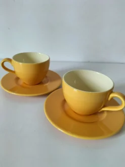 Duo de tasses et sous-tasses Pagnossin Treviso