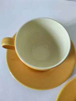Duo de tasses et sous-tasses Pagnossin Treviso