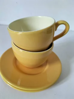 Duo de tasses et sous-tasses Pagnossin Treviso