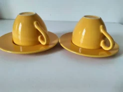 Duo de tasses et sous-tasses Pagnossin Treviso