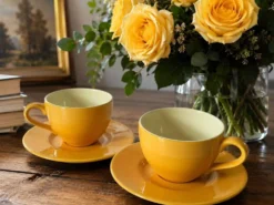 Duo de tasses et sous-tasses Pagnossin Treviso