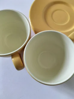 Duo de tasses et sous-tasses Pagnossin Treviso