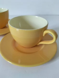 Duo de tasses et sous-tasses Pagnossin Treviso