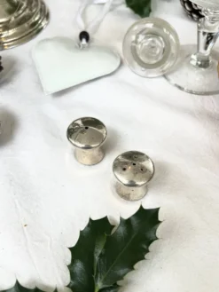 Duo salière et poivrier en forme de champignon en métal argenté