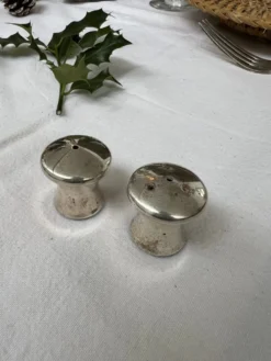 Duo salière et poivrier en forme de champignon en métal argenté