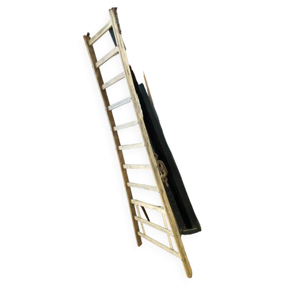 Echelle