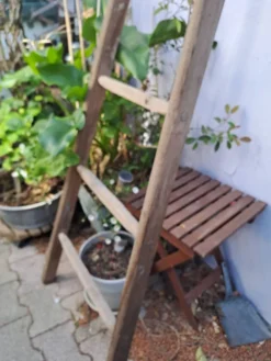 Echelle de cueillette en bois vintage 7 barreaux