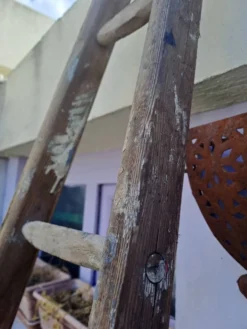 Echelle de cueillette en bois vintage 7 barreaux