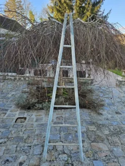 Echelle de cueillette en bois