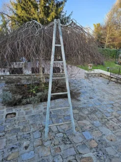 Echelle de cueillette en bois