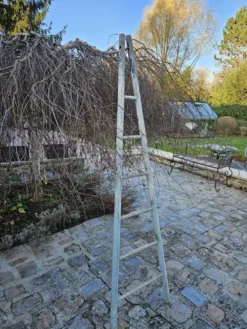 Echelle de cueillette en bois