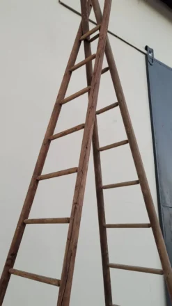 Echelle double de maraîcher récolte fruitière cueillette ancienne en bois -3m65