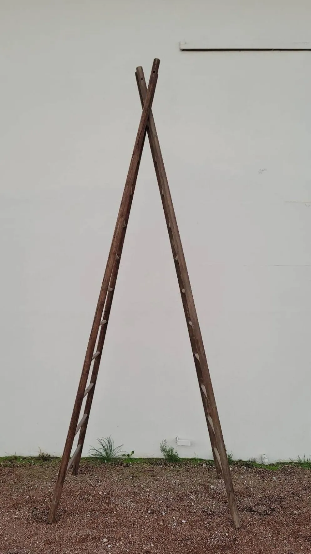 Echelle double de maraîcher récolte fruitière cueillette ancienne en bois -3m65