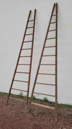 Echelle double de maraîcher récolte fruitière cueillette ancienne en bois -3m65