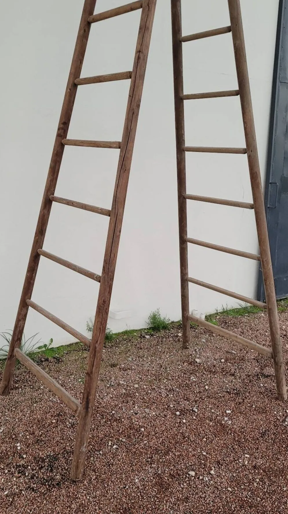 Echelle double de maraîcher récolte fruitière cueillette ancienne en bois -3m65