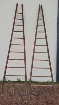 Echelle double de maraîcher récolte fruitière cueillette ancienne en bois -3m65