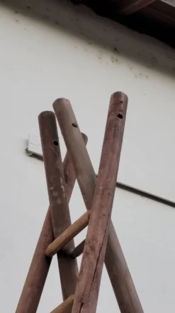 Echelle double de maraîcher récolte fruitière cueillette ancienne en bois -3m65
