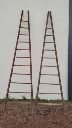 Echelle double de maraîcher récolte fruitière cueillette ancienne en bois -3m65