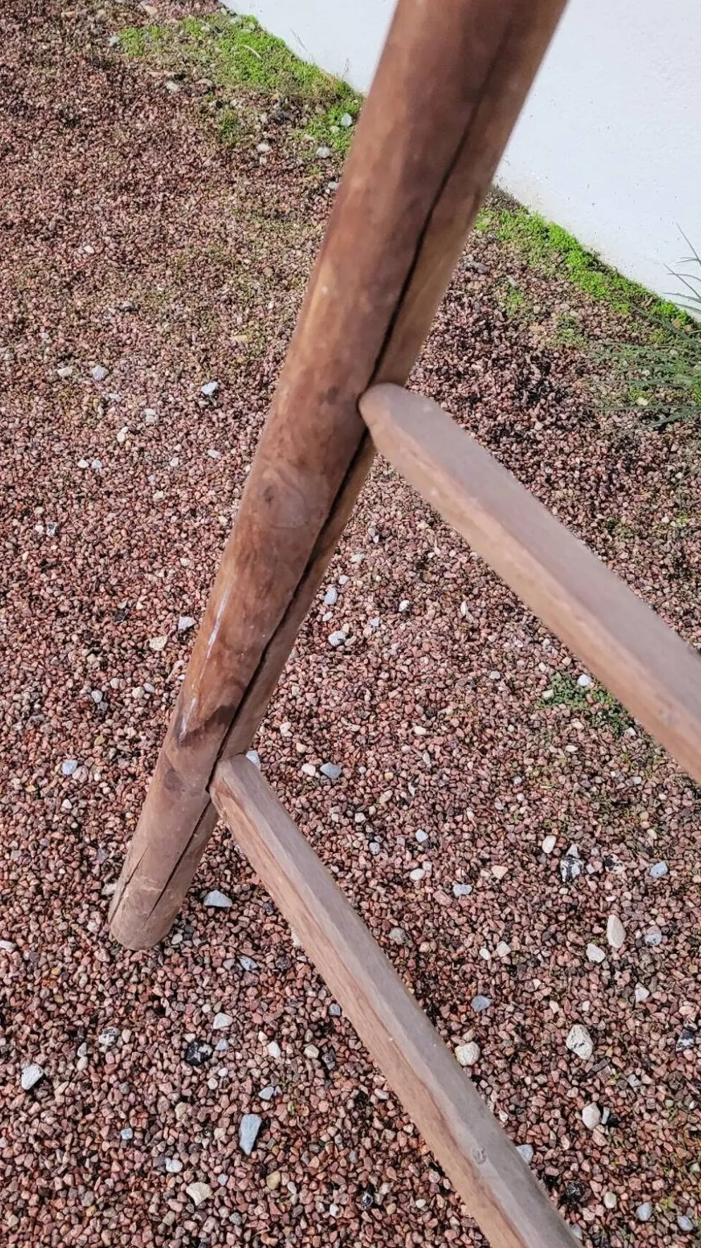 Echelle double de maraîcher récolte fruitière cueillette ancienne en bois -3m65