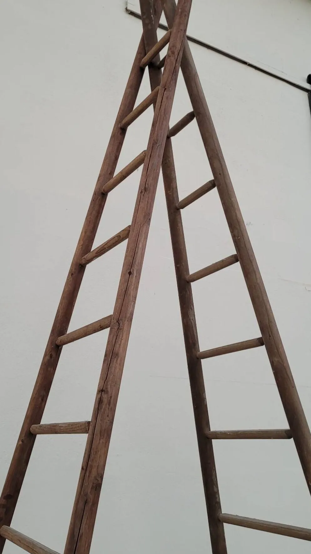 Echelle double de maraîcher récolte fruitière cueillette ancienne en bois -3m65