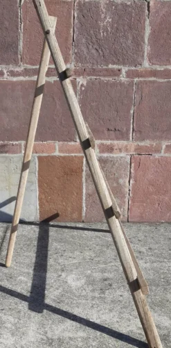 Echelle pliable pour oliviers. (Espagne, années 40/ 50)