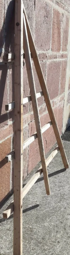 Echelle pliable pour oliviers. (Espagne, années 40/ 50)