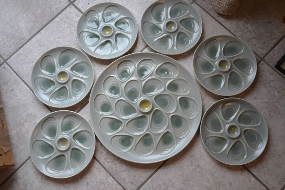 Ensemble assiettes et plat à huîtres Salins