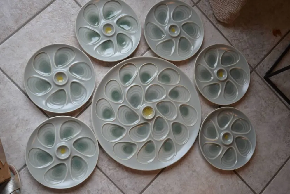 Ensemble assiettes et plat à huîtres Salins