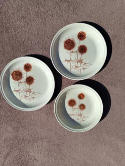 Ensemble Assiettes Sarreguemines