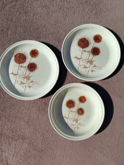 Ensemble Assiettes Sarreguemines