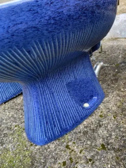 Ensemble bleu 