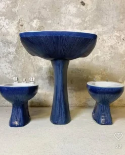 Ensemble bleu 