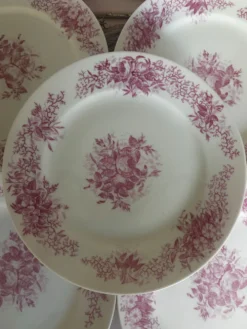 Ensemble de 6 assiettes à dessert anciennes en porcelaine fleurs roses