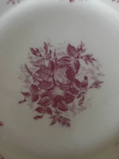Ensemble de 6 assiettes à dessert anciennes en porcelaine fleurs roses