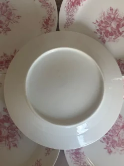Ensemble de 6 assiettes à dessert anciennes en porcelaine fleurs roses