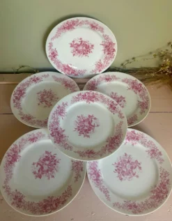 Ensemble de 6 assiettes à dessert anciennes en porcelaine fleurs roses