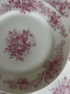 Ensemble de 6 assiettes à dessert anciennes en porcelaine fleurs roses