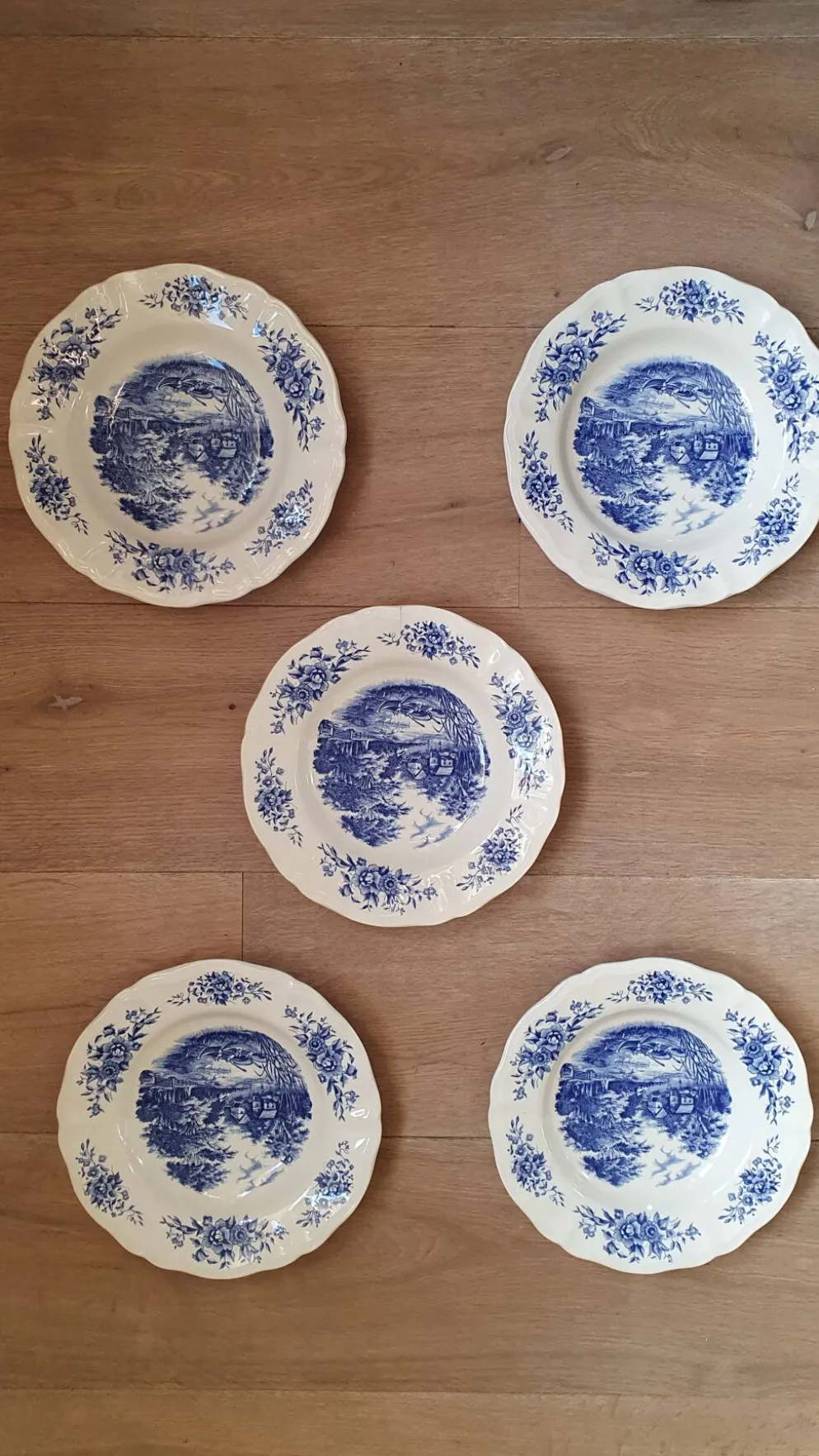 Ensemble de 5 assiettes en porcelaine de Sarreguemines