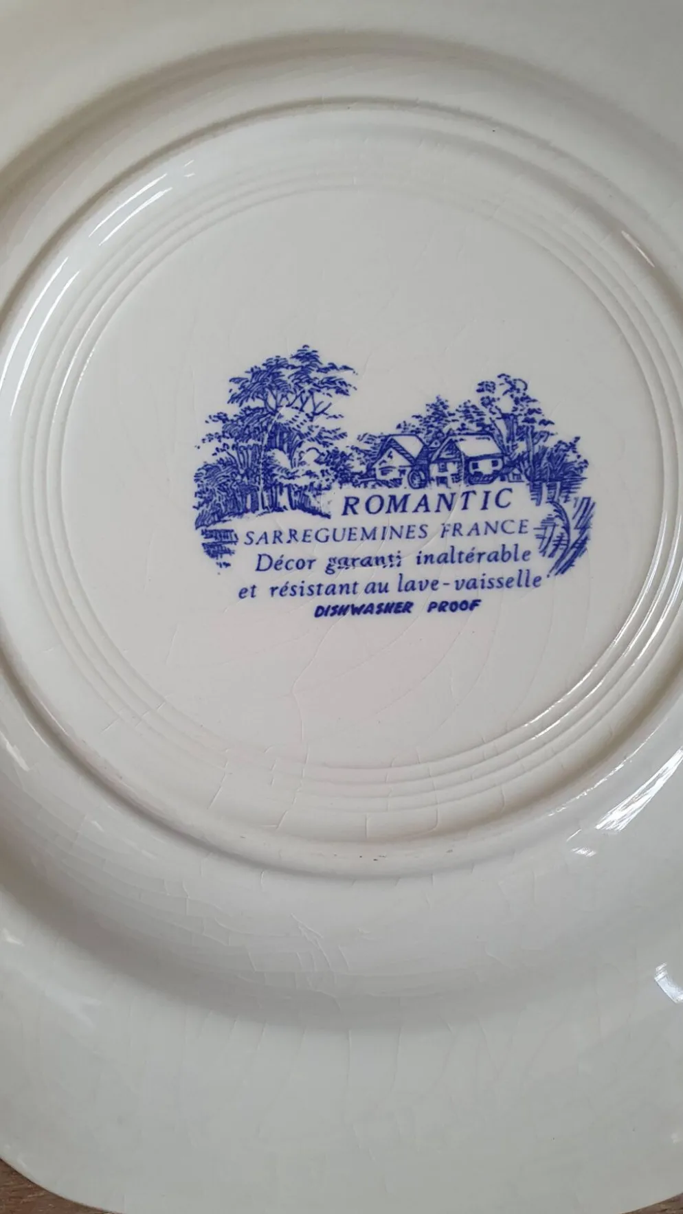 Ensemble de 5 assiettes en porcelaine de Sarreguemines