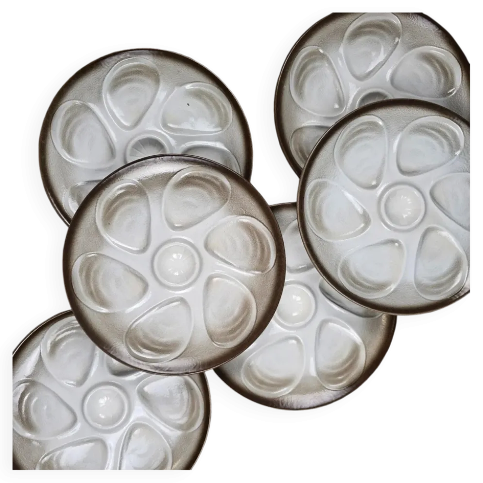 Ensemble de 6 assiettes à huîtres Salins France – Dégradé brun & gris