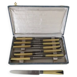 Ensemble de 11 couteaux
