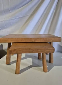 Ensemble de 2 petites tables gigognes en bois pour plantes.