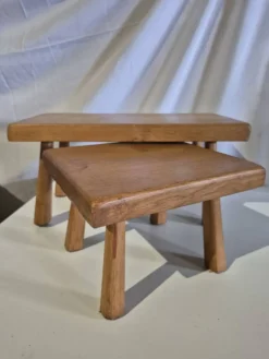 Ensemble de 2 petites tables gigognes en bois pour plantes.