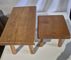 Ensemble de 2 petites tables gigognes en bois pour plantes.