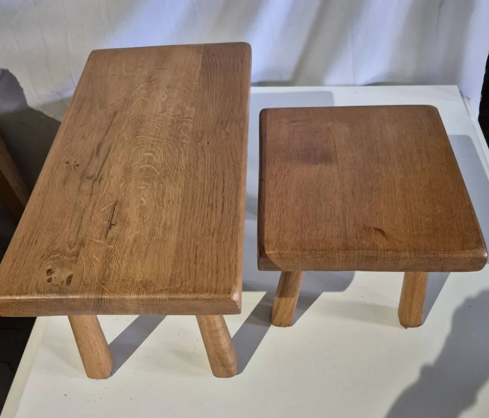 Ensemble de 2 petites tables gigognes en bois pour plantes.