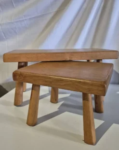 Ensemble de 2 petites tables gigognes en bois pour plantes.