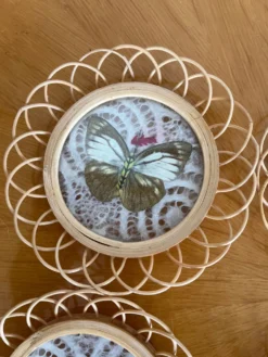 Ensemble de sous verre papillon vintage