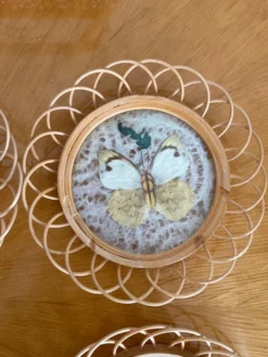Ensemble de sous verre papillon vintage