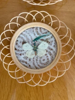 Ensemble de sous verre papillon vintage