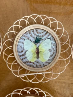 Ensemble de sous verre papillon vintage